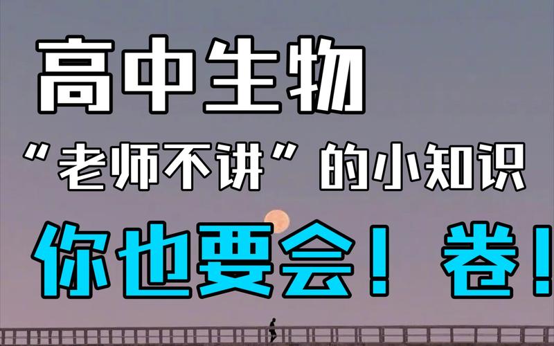 猫之使者卢迪变身被光选中的路人只是每次追爱的路上恰好你都在原来