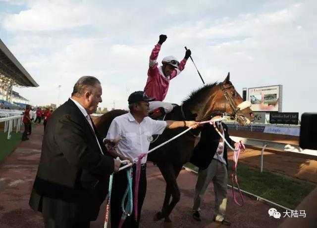 南非赢马!一场胜利揭开chc持续两年非洲赛马低调布局