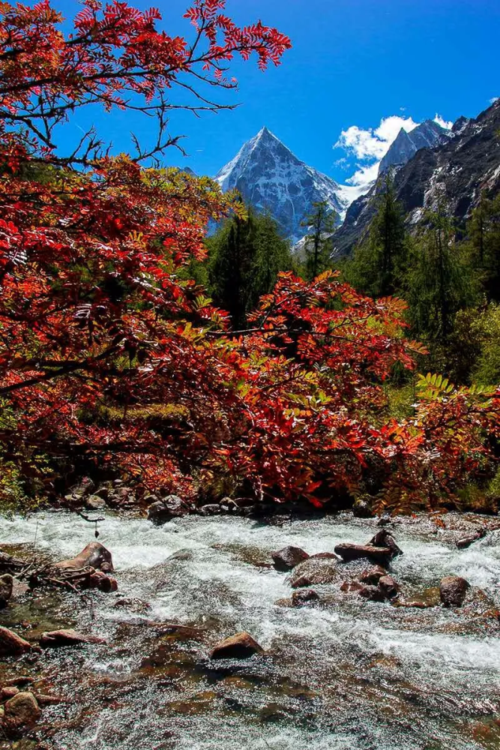 这个秋天一定要来阿坝州的理由就是