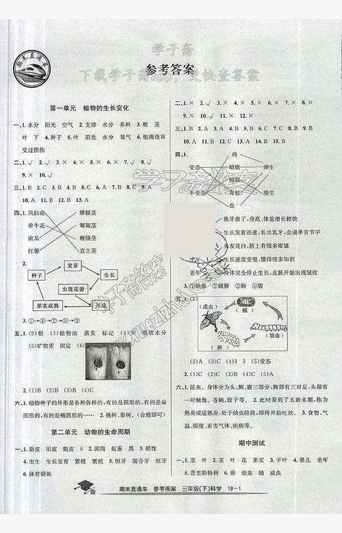 2019年期末直通车三年级科学下册教科版答案