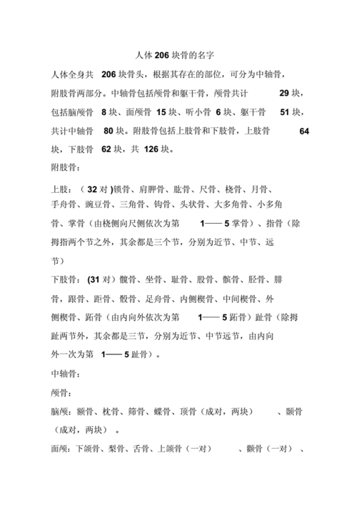人体206块骨头的全部名称doc4页