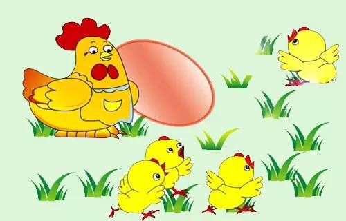 母鸡喂小鸡卡通图片