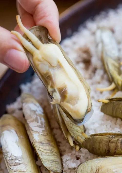 "大黄鱼叫","宁海长街蛏子","吃海参要配槡叶面",在这里吃饭,你有十万