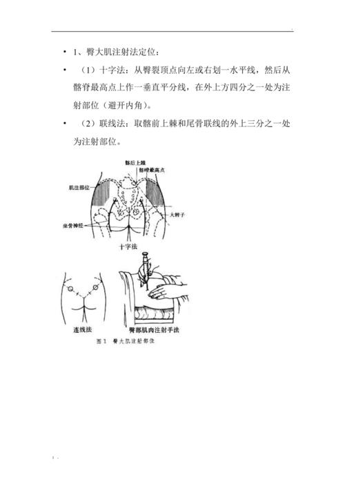 肌肉注射具体部位