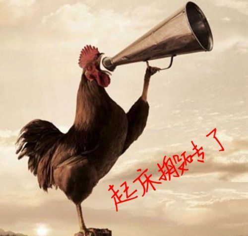 大家早上好