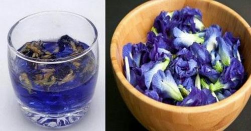 蝶豆花茶的功效