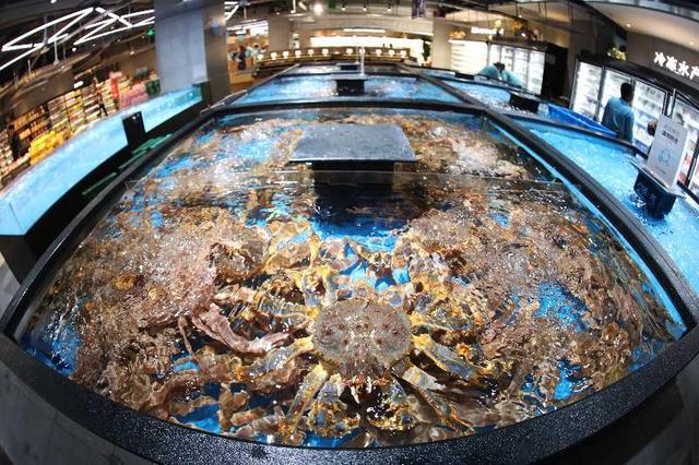 南京首家"盒马鲜生"明日开业 本报主播带你"活捉"波龙帝王蟹