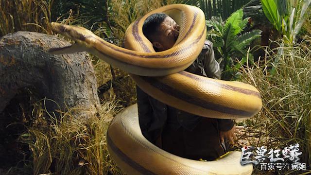 奇幻电影巨兽狂蟒百度云完整共享百度云网盘1080p熟肉中字已完结