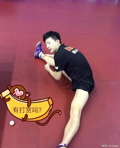 国乒主教练秦志戬为培养马龙熬白了头他的执教水准属于顶尖级