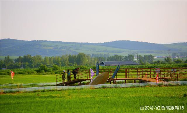 吉林延吉边疆小村,光东村的800天华丽蜕变,延边民俗