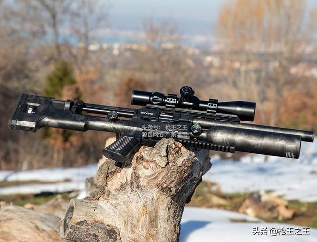 军迷户外狩猎射击魅力pcp十一reximex王座半自动气步枪