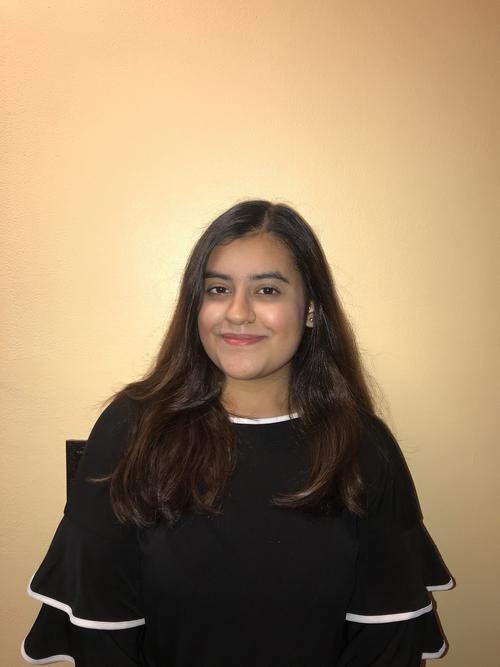 nazifa chowdhury college counselor