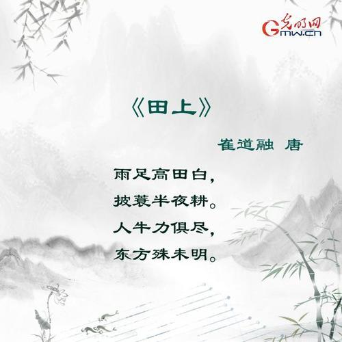 古诗文里的"粮食经":一粥一饭当思来之不易