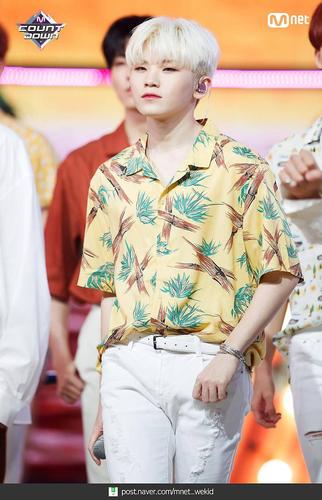 seventeenwoozi  关注  评论 收藏