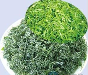 天然螺旋藻的用法