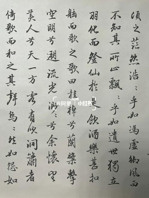 赵孟頫行书~赤壁赋_行书_手写_书法_小楷_赵孟頫_文化