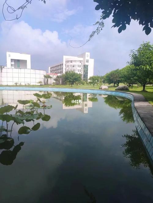 欢迎报考皖西学院_皖西学院自由行热门攻略_高考_银杏