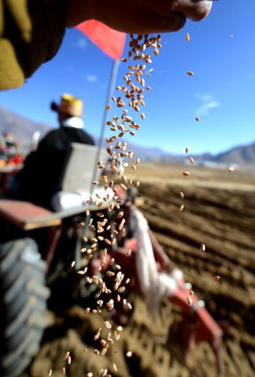 2月19日,农民在春耕仪式上播撒种子.新华社记者 觉果 摄