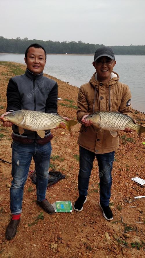 钓场 北海钓场 清水江水库