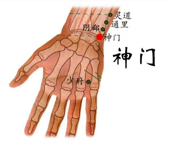 人体主要穴位位置图(三)