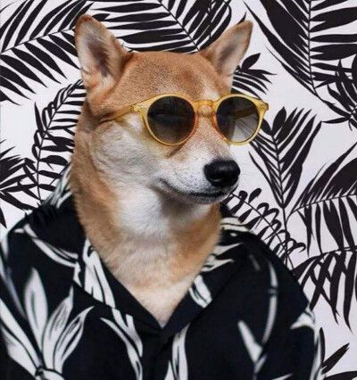 搞笑创意头像男生