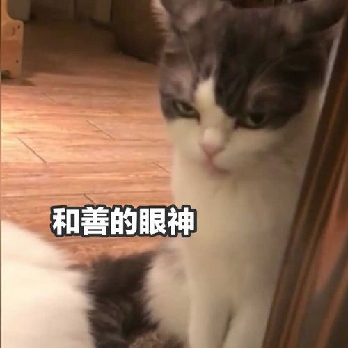 和善的眼神_和善_眼神表情