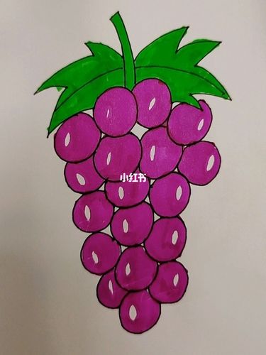 葡萄简笔画_简笔画_教程_水果_简笔画教程_兴趣爱好