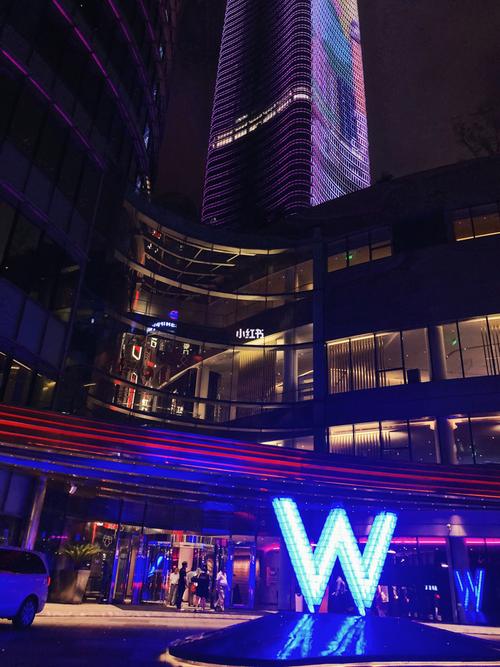 上海w酒店_w酒店怎么样_风景_无边泳池_装修_色彩搭配