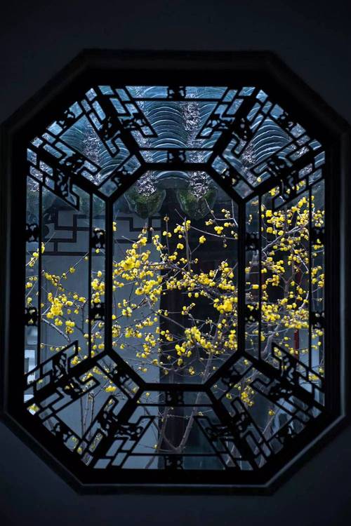 美鉴丨中式窗棂,不仅是画更是诗