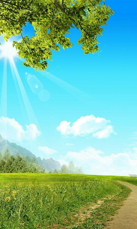 早上好,阳光早晨,唯美阳光图片,励志音乐