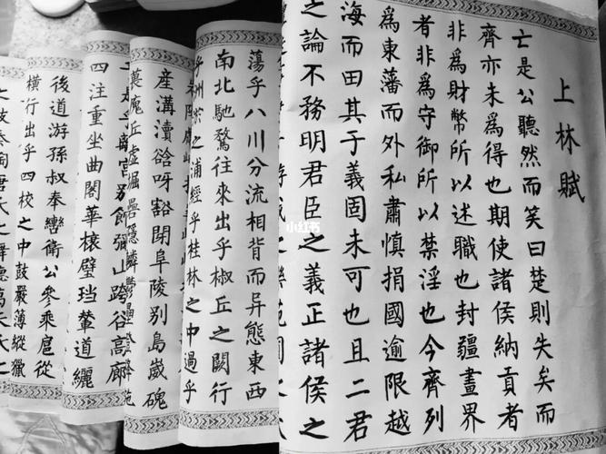 2_一卷上林赋   全然两世情_书法_任嘉伦_上林赋_人文_书法