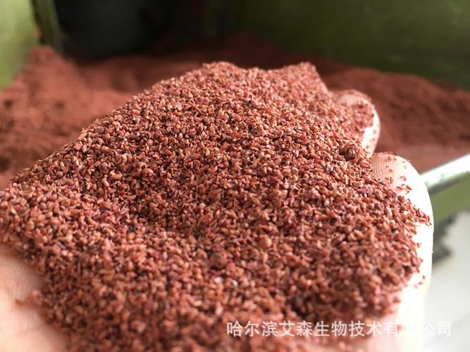 蓝莓籽油-越桔籽油-超临界co2萃取-生产厂家直供原料