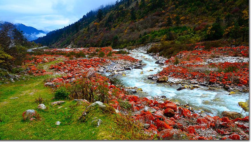 2020雅家情海-旅游攻略-门票-地址-问答-游记点评,海螺沟旅游旅游景点