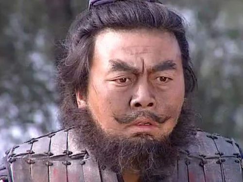 谁说南方兵不能打?连张飞都不是他们对手,说说三国精锐丹阳兵
