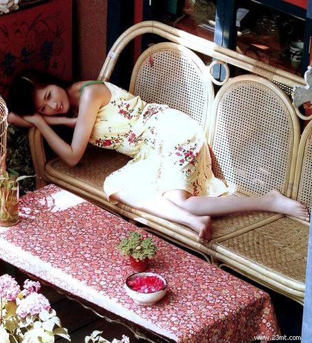 "第一美女主持人"沈星气质写真(组图)