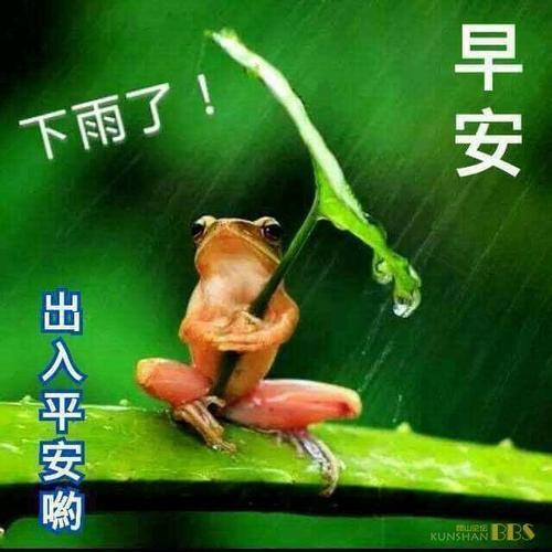 雨天早上好的问候短信