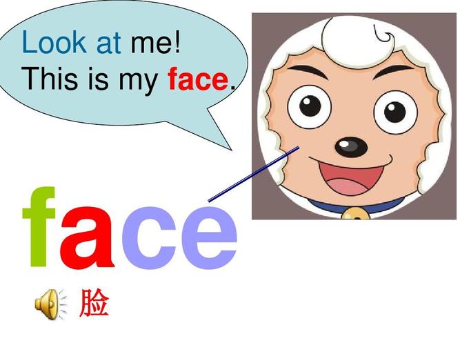 face 脸