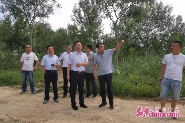 省法院副院长傅国庆一行到古城镇考察调研