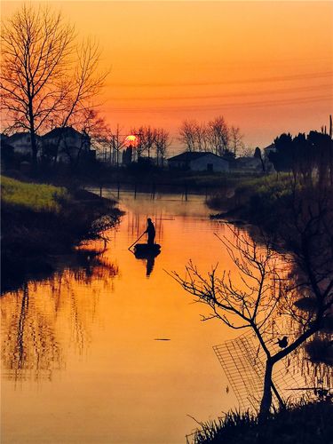 在家看天下·每日一景丨南通海安:醉在春花烂漫时