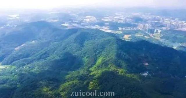 2020广州萝岗20km越野拉练