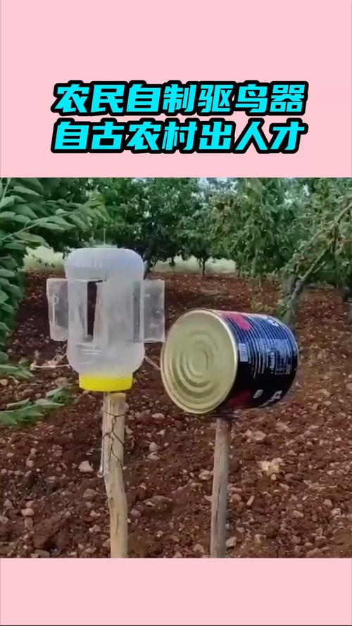 我要上热门农民自制驱鸟器自古农村出人才