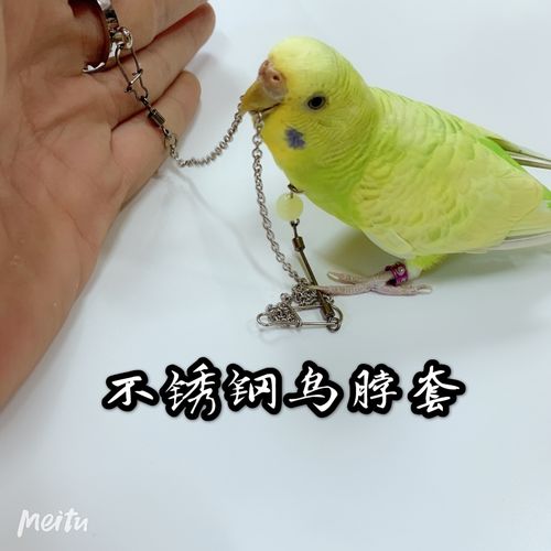 鹦鹉脖套野外小型鸟用脖绳鸟套套绳脚链画眉黄鹂蜡嘴