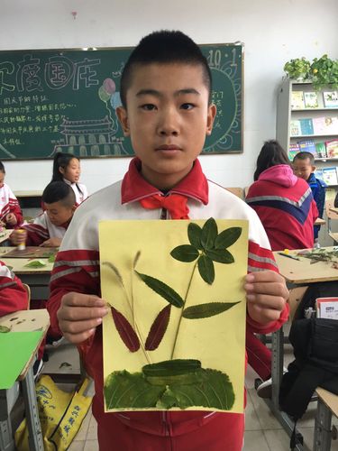 树叶画(六年级美术作品)抓住秋天的尾巴,一起来创作吧!