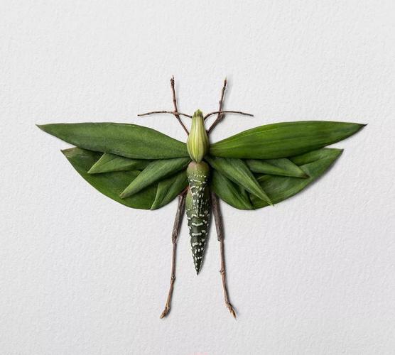 日本艺术家用花瓣和树叶画出一个昆虫世界