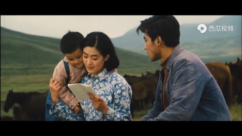 被遗忘的"理想国"—从《牧马人》突然爆红网络谈起