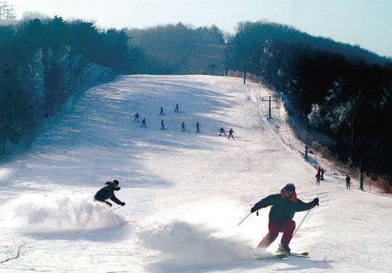 沈阳西南亚滑雪场