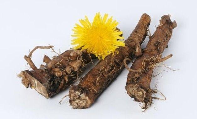 玉兰根本是维族习用药材之一,具有清肝利胆,健胃消食,利尿消肿等