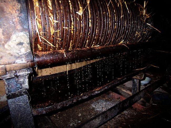 [饮食健康]金浩茶油事件后,哥告诉你正宗的乡里茶油是