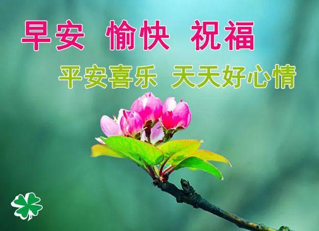 10月17日早上好|每日问候|晨起|暖暖_网易订阅