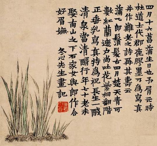 清金农《菖蒲图》